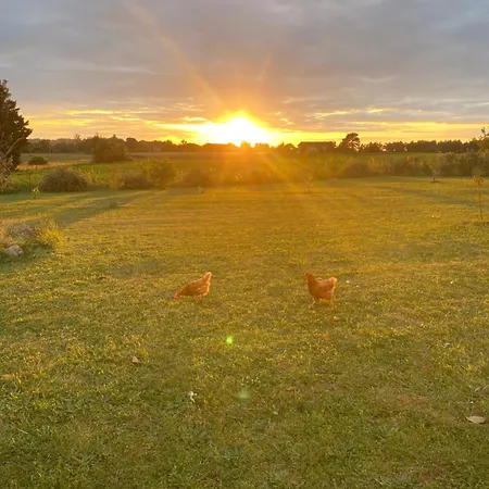 Chez Anne Et Francois Проживание в семье Calonges